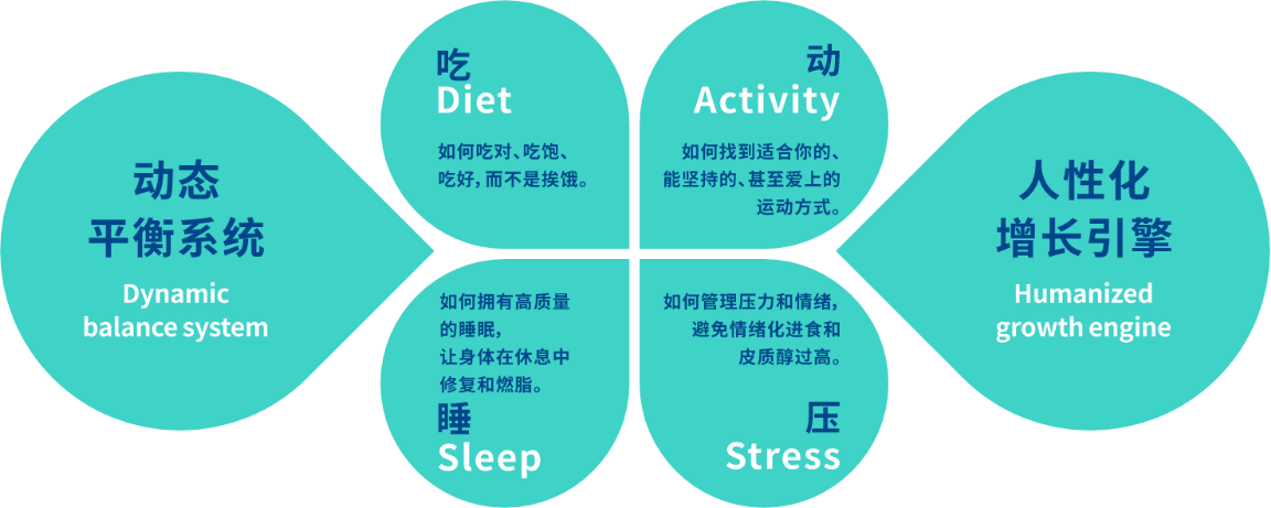 动态平衡系统与增长引擎